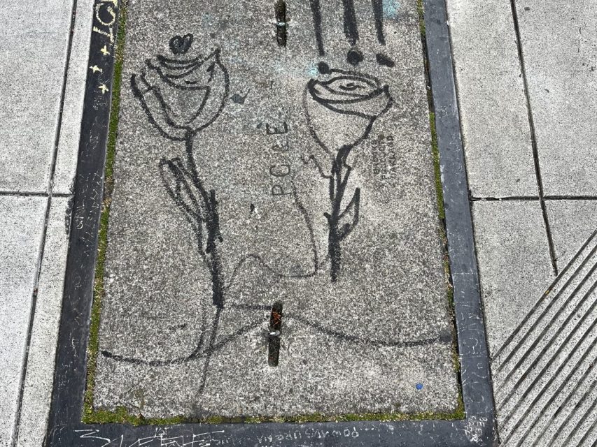 Black graffiti of two flowers and the word "POLE" drawn on a concrete sidewalk utility cover with some chalk marks and moss on the edges.
