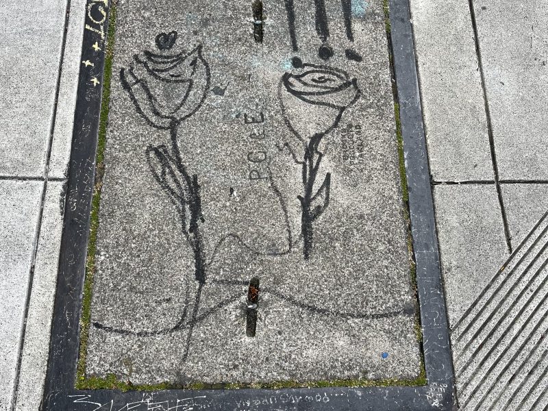 Graffiti of two flowers with faces and three exclamation marks is drawn on a concrete sidewalk utility cover, surrounded by etched and written markings.