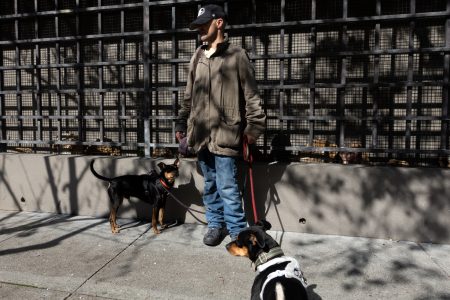 A person wearing a hat, jacket, and jeans stands on a sidewalk holding leashes for two dogs in front of a metal fence.