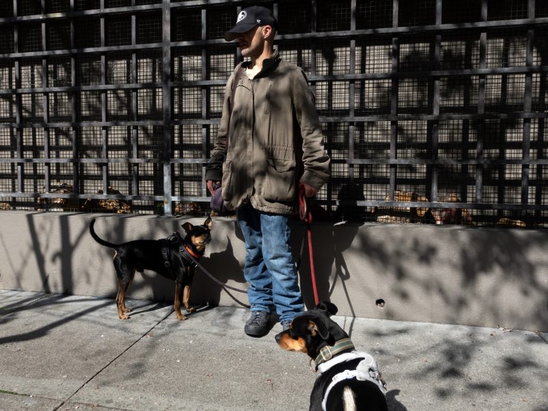 A person wearing a hat, jacket, and jeans stands on a sidewalk holding leashes for two dogs in front of a metal fence.
