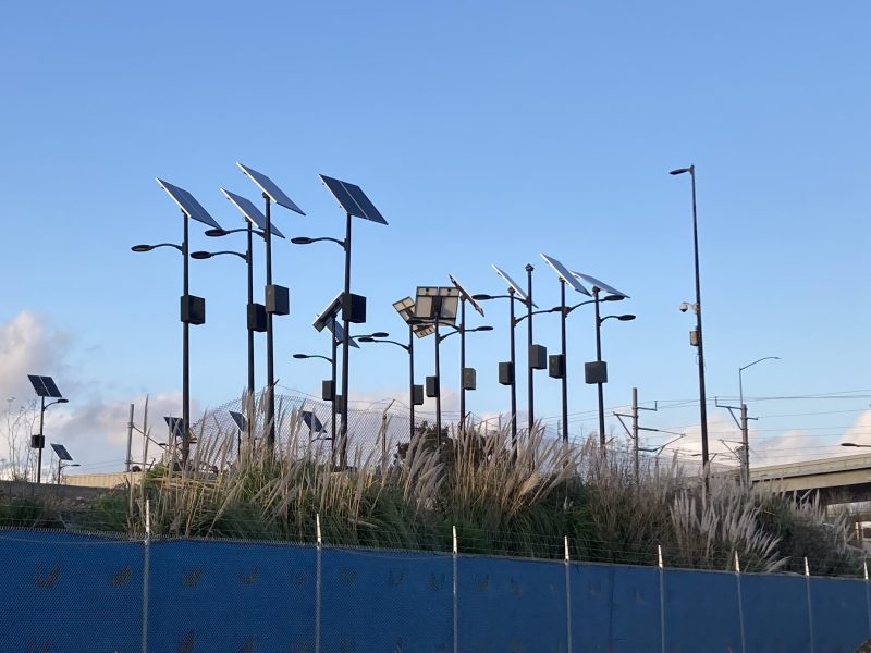 A group of solar-powered streetlights on tall black poles surrounded by vegetation, set against a clear blue sky and highway overpass in the background.