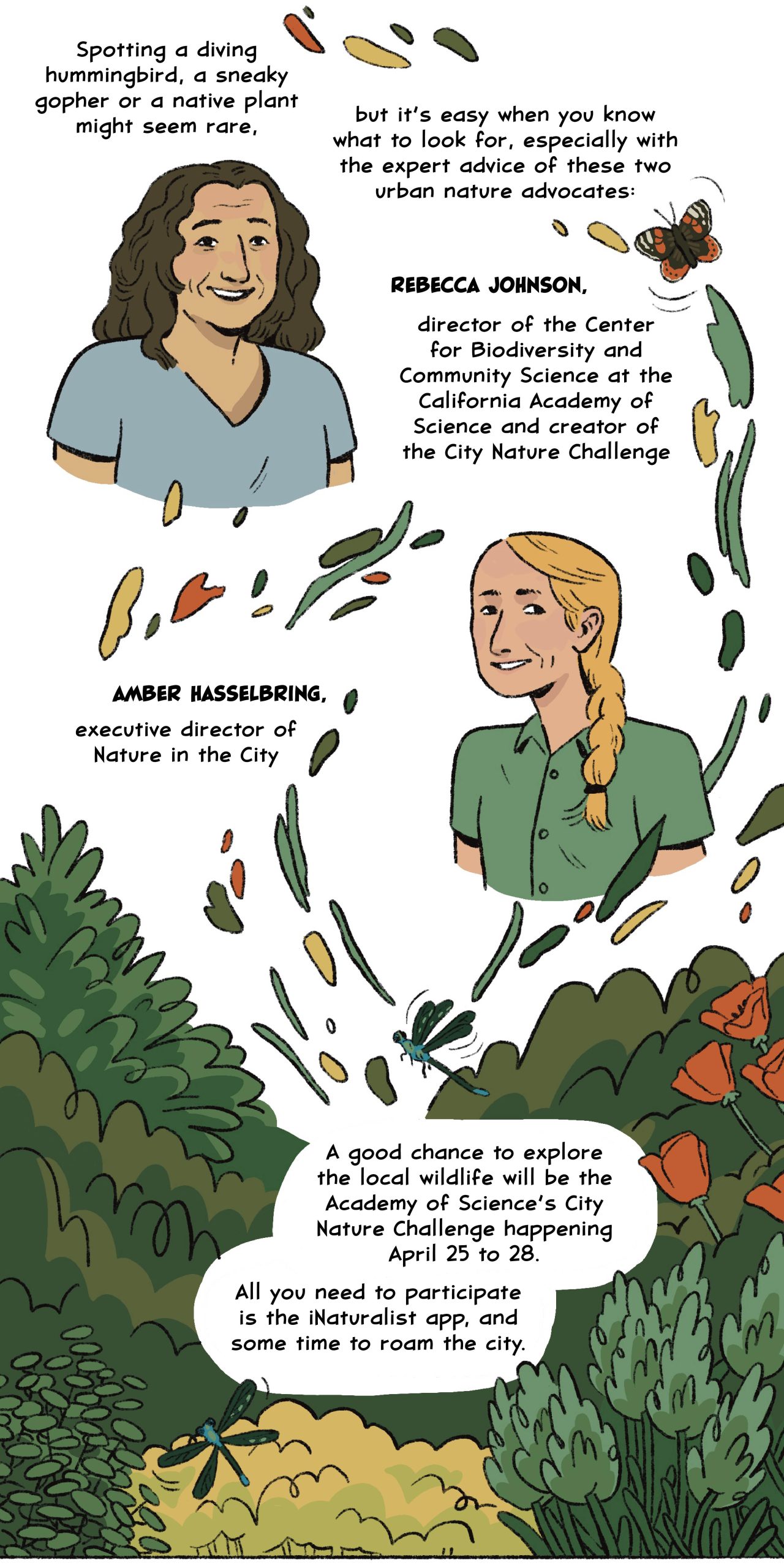 Spotting a diving hummingbird, a sneaky gopher or a native plant might seem rare, but it’s easy when you know what to look for, especially with the expert advice of these two urban nature advocates:

Rebecca Johnson, director of the Center for Biodiversity and Community Science at the California Academy of Science and creator of the City Nature Challenge, and Amber Hasselbring, executive director of Nature in the City.

A good chance to explore the local wildlife will be the Academy of Science’s City Nature Challenge happening April 25 to 28. All you need to participate is the iNaturalist app, and some time to roam the city.