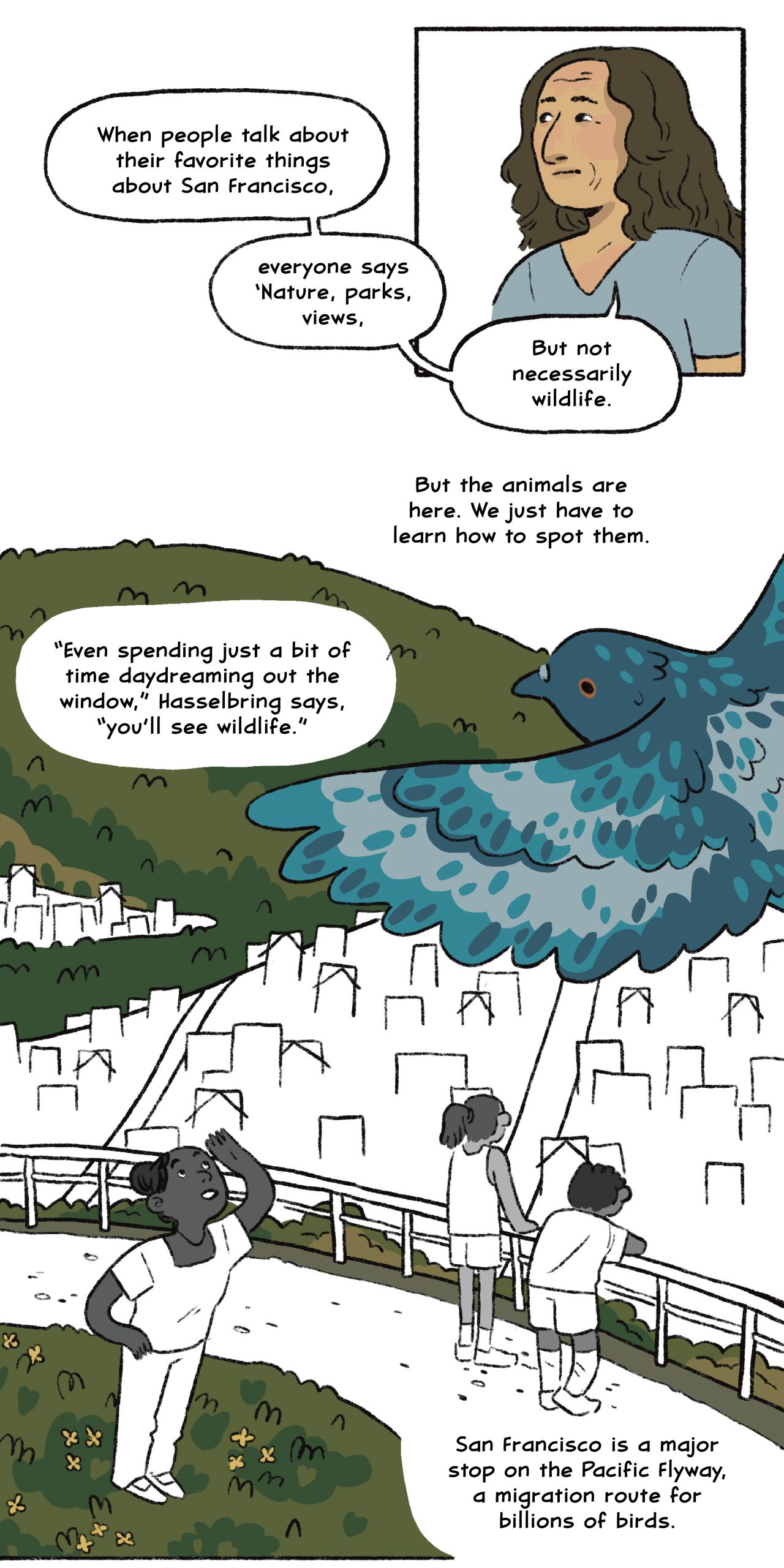 “When people talk about their favorite things about San Francisco, everyone says ‘Nature, parks, views,’” says Rebecca. “But not necessarily wildlife.”

But the animals are here. We just have to learn how to spot them.

“Even spending just a bit of time daydreaming out the window,” Hasselbring says, “you’ll see wildlife.”

San Francisco is a major stop on the Pacific Flyway, a migration route for billions of birds.
