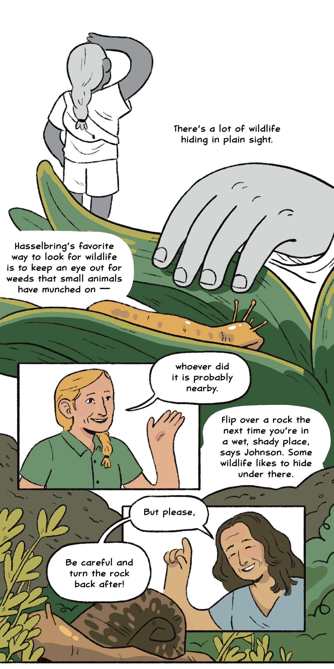 There’s a lot of wildlife hiding in plain sight.

Hasselbring’s favorite way to look for wildlife is to keep an eye out for weeds that small animals have munched on — whoever did it is probably nearby.
 
Flip over a rock the next time you’re in a wet, shady place, says Johnson. Some wildlife likes to hide under there. “But please,” she adds. “Be careful and turn the rock back after!” 