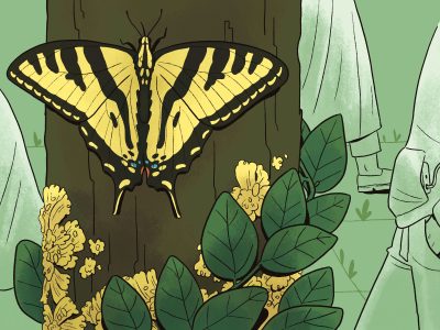 A yellow and black butterfly rests on a tree trunk surrounded by green leaves and yellow flowers, while people in robes stand nearby.
