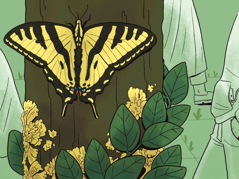 A yellow and black butterfly rests on a tree trunk surrounded by green leaves and yellow flowers, while people in robes stand nearby.