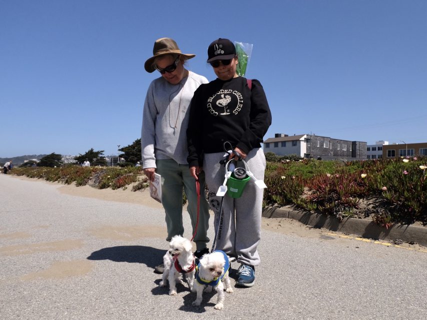 Two people walking two small dogs on a sunny path by the sea. The individuals are dressed casually and wearing hats.