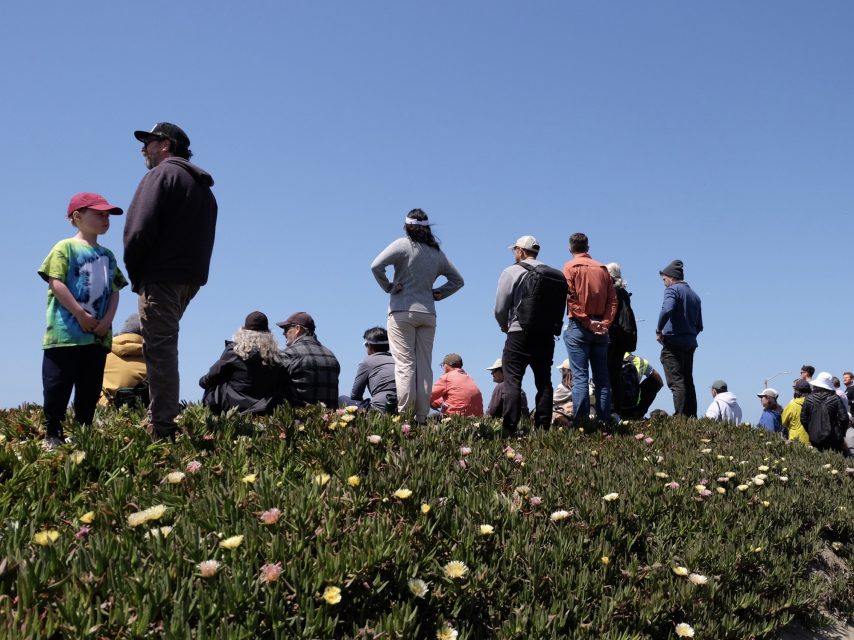 A group of people stands on a grassy hill with flowers, looking at something off-camera under a clear blue sky.