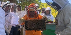 A person in an orange bee suit holds a frame from a beehive, surrounded by a group of people wearing protective beekeeping gear outdoors.