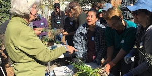 A group of people gathers outdoors around a table, handling plants and listening to a woman in a green jacket.
