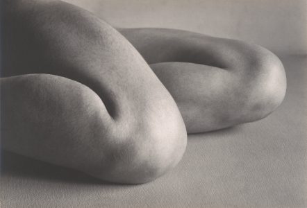 A black-and-white photo showing two bent arms resting on a textured surface, evoking the timeless elegance of a museum display and highlighting the curves and natural forms of the human body.