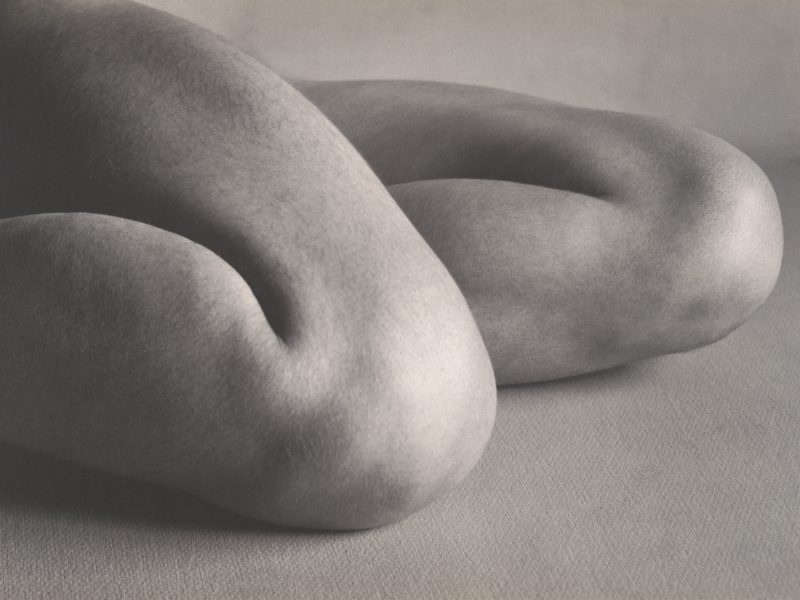 A black-and-white photo showing two bent arms resting on a textured surface, evoking the timeless elegance of a museum display and highlighting the curves and natural forms of the human body.