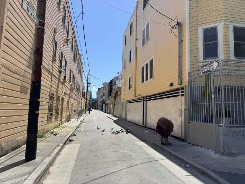 A narrow urban alley with pigeons on the ground, a person bending near a fence, and buildings on both sides under a clear blue sky.