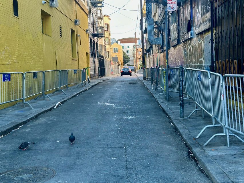 A narrow urban alleyway with metal barriers on both sides, two pigeons on the pavement, and a parked car in the background.