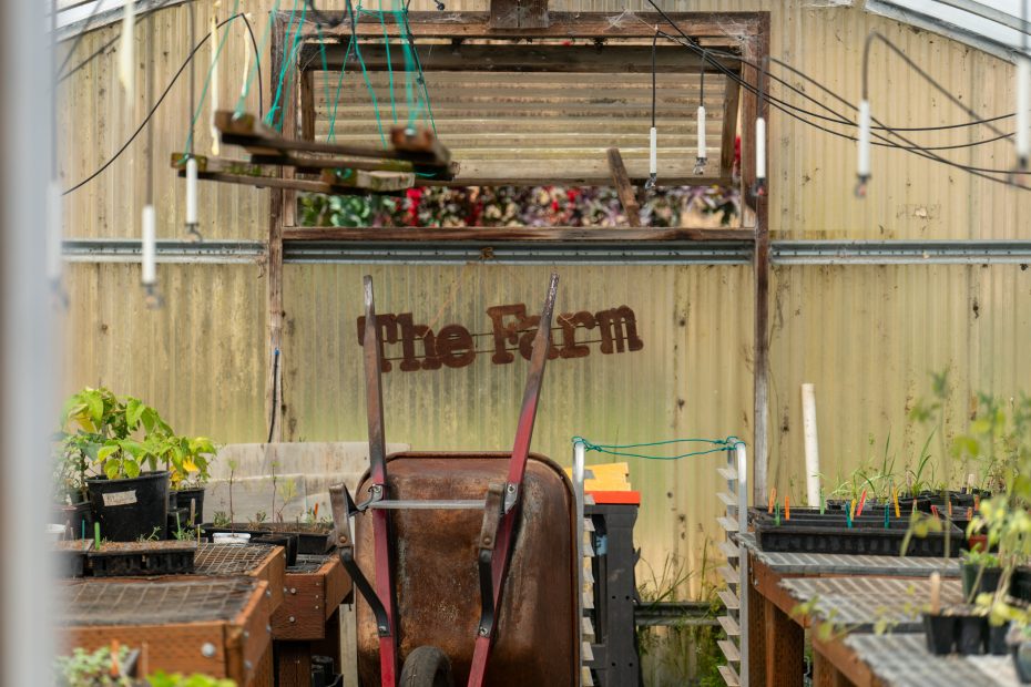 A rusty wheelbarrow in the center of a greenhouse with potted plants and a sign reading "The Farm" on the back wall.