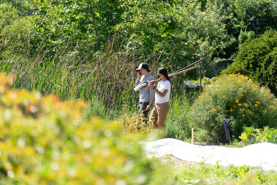 Two people stand in a garden holding long-handled tools, surrounded by green plants, tall grasses, and yellow flowers on a sunny day.