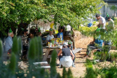 A group of people wearing party hats gather around a picnic table with food and decorations under a tree in an outdoor setting.
