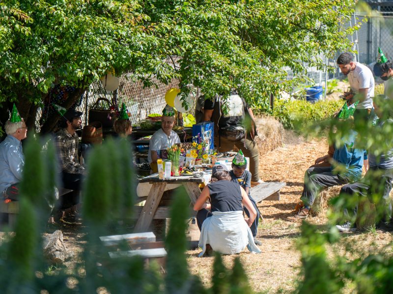 A group of people wearing party hats gather around a picnic table with food and decorations under a tree in an outdoor setting.