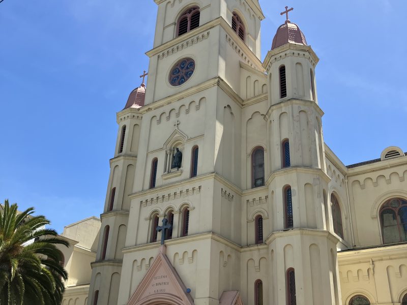 A tall cream-colored church with twin pink-domed towers, arched windows, and a palm tree on the left, set against a clear blue sky.