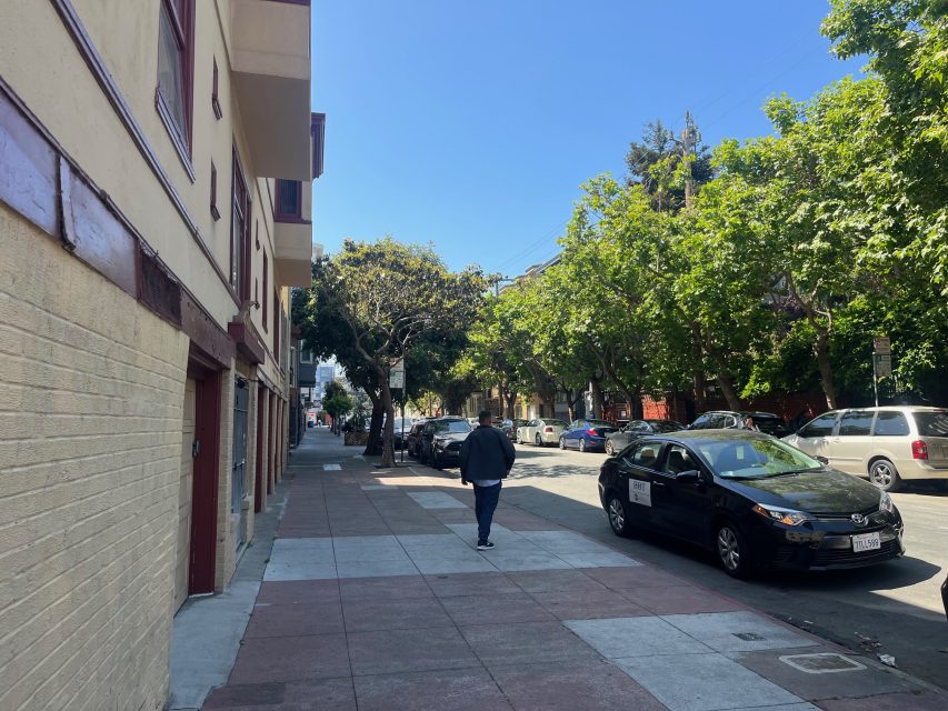 A person walks down a sunny, tree-lined sidewalk beside parked cars and residential buildings.