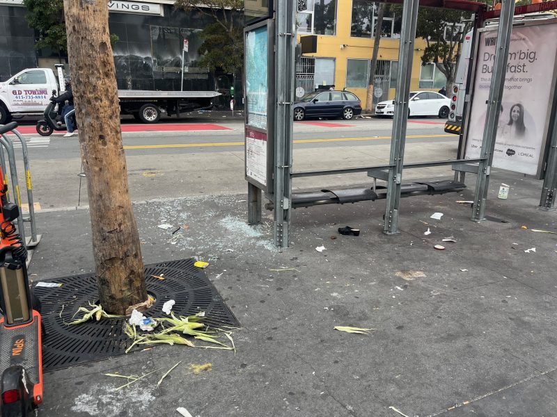 A bus stop with shattered glass on the ground, scattered trash, and a damaged bench next to a tree on a city street.