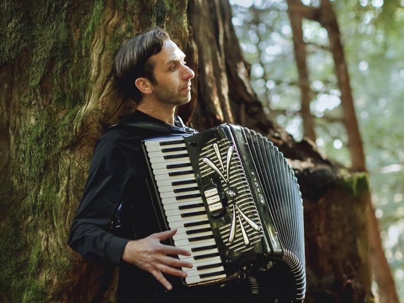 A person wearing a black shirt plays an accordion while standing against a large mossy tree in a forest.