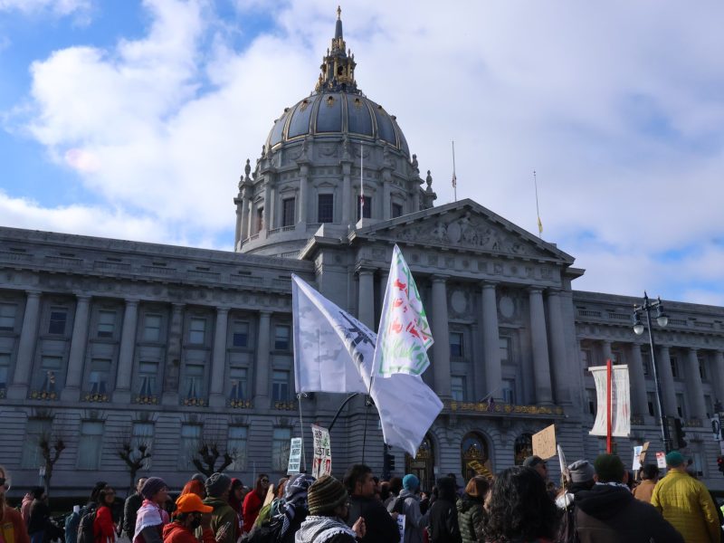 A crowd of people with flags and signs gathers in front of a large government building with a prominent dome under a partly cloudy sky.