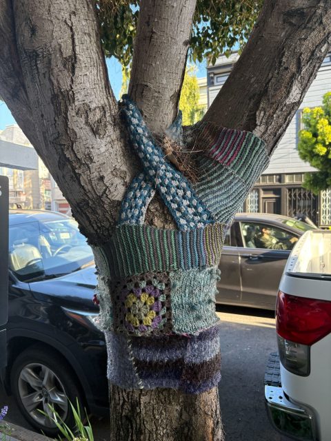 Tree trunk wrapped in colorful, knitted and crocheted yarn pieces, situated on a city street with parked cars and houses in the background.