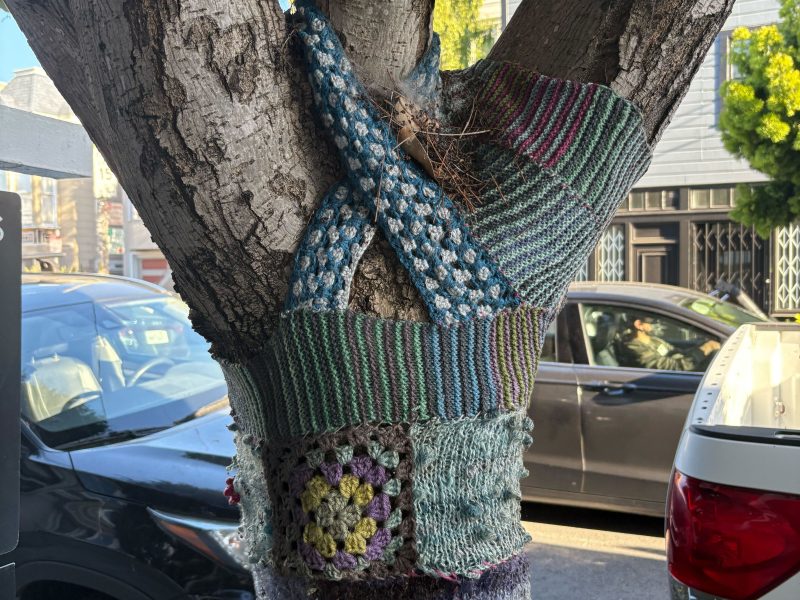 Tree trunk wrapped in various multicolored knitted and crocheted yarn pieces on a city street with parked cars nearby.