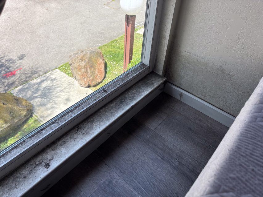 A window with a wide sill shows a buildup of black mold and dirt along the sill and lower wall, next to a gray floor and a couch in the corner.