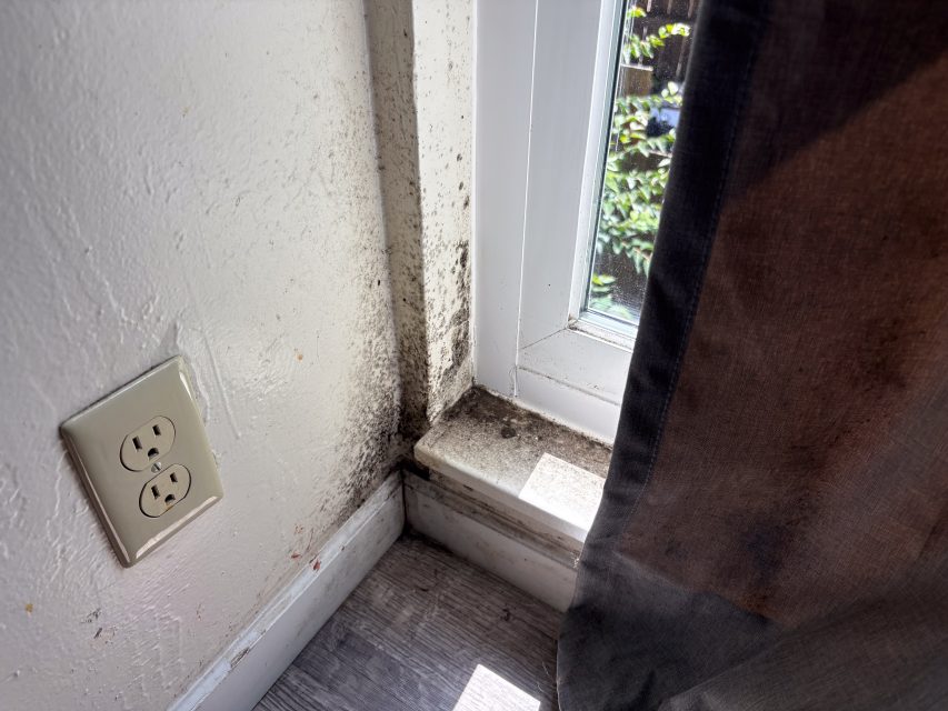 Mold growing on the wall and window sill in the corner of a room near an electrical outlet, with sunlight coming through a nearby window.