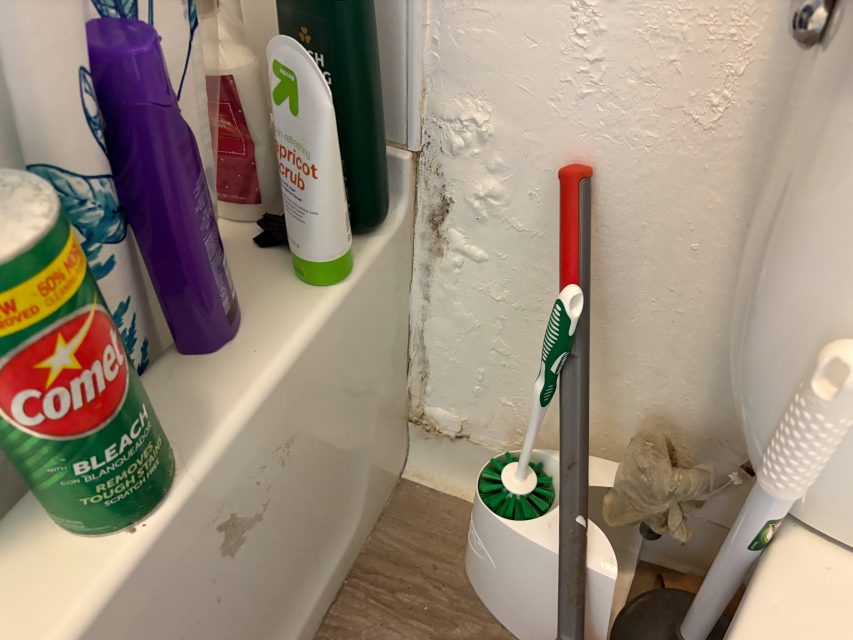 Bathroom corner with cleaning supplies, a toilet brush, mop, various bottles on the tub, and visible water damage or mold on the wall by the bathtub.
