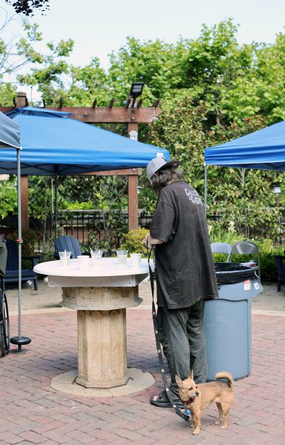 A person wearing a dark shirt and cap stands at a round stone table with plastic cups, holding a small brown dog on a leash in an outdoor area with blue canopy tents and greenery.