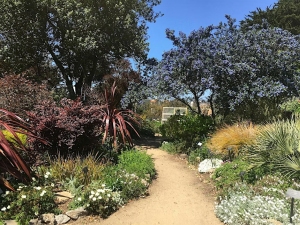 A dirt path winds through a lush garden with various trees, bushes, and flowering plants under a clear blue sky.