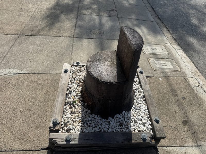 A tree stump cut and shaped to resemble a chair, surrounded by white stones and wooden borders on a sidewalk.