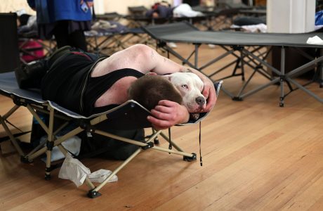 A person lying on a cot in a shelter hugs a white dog, resting their head on the dog’s head. Several empty cots and scattered tissue are visible in the background.