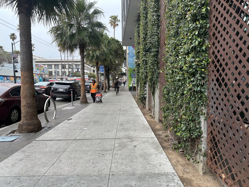 A city sidewalk lined with palm trees and a green vine-covered wall; a worker in an orange vest sweeps near parked cars and buildings in the background.
