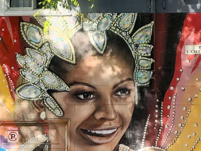 A mural of a smiling woman wearing an elaborate jeweled headdress is painted on a wall with a "No Loitering" sign above her. Sunlight and leaves cast shadows on the artwork.