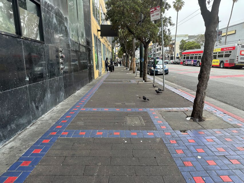 A city sidewalk with blue and red tile borders, lined with trees and parked cars; a few pigeons are on the path, and a bus is visible in the street.