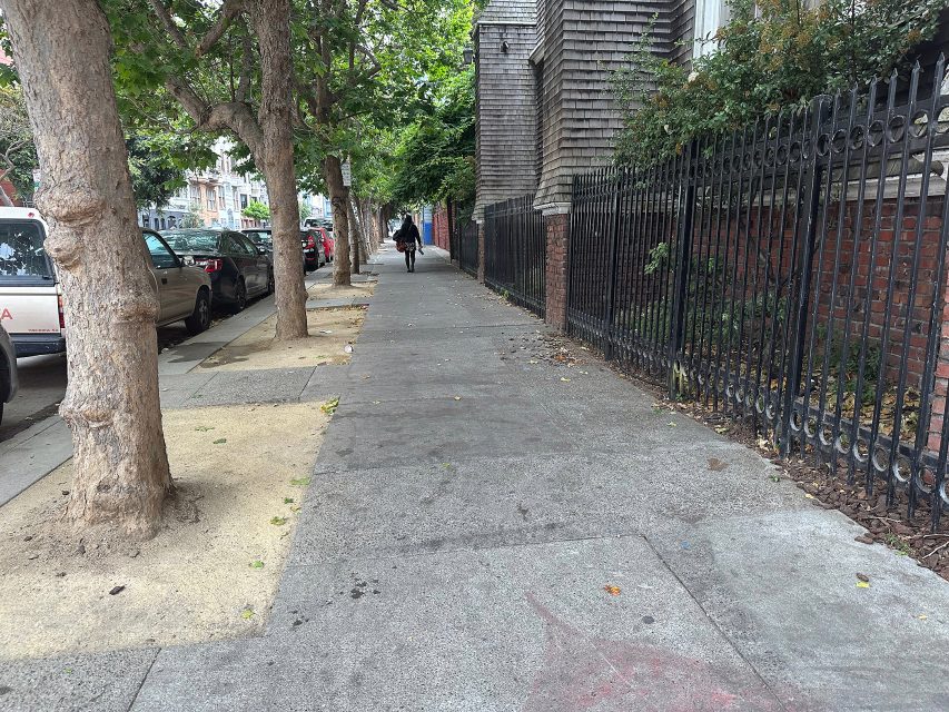 A person rides a bicycle on a tree-lined sidewalk next to a black iron fence and parked cars on a city street.