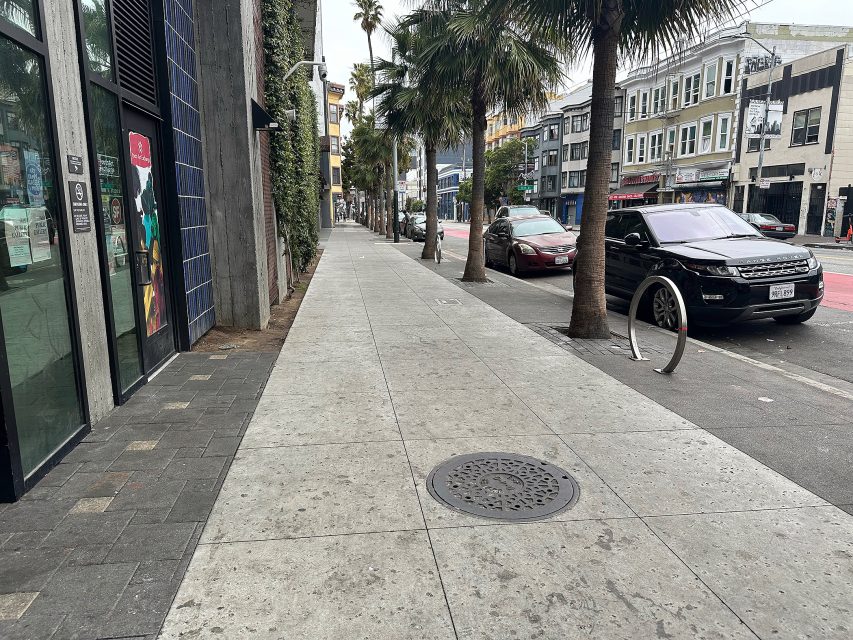 A city sidewalk with palm trees, parked cars, and storefronts on the left; street and buildings are visible in the background.