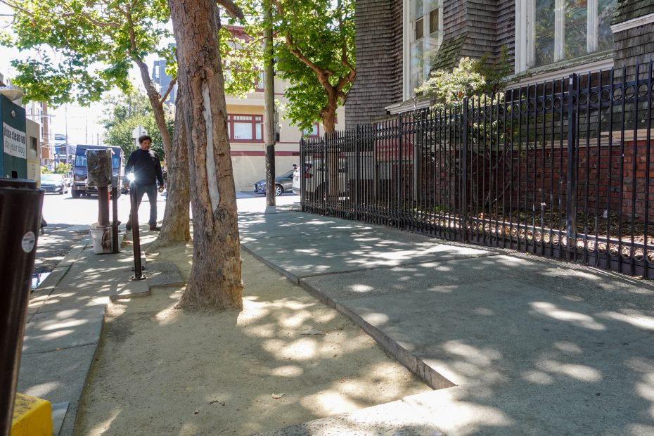 A sidewalk with trees growing through cutouts in the pavement, next to a black metal fence and a brick building on a sunny day.