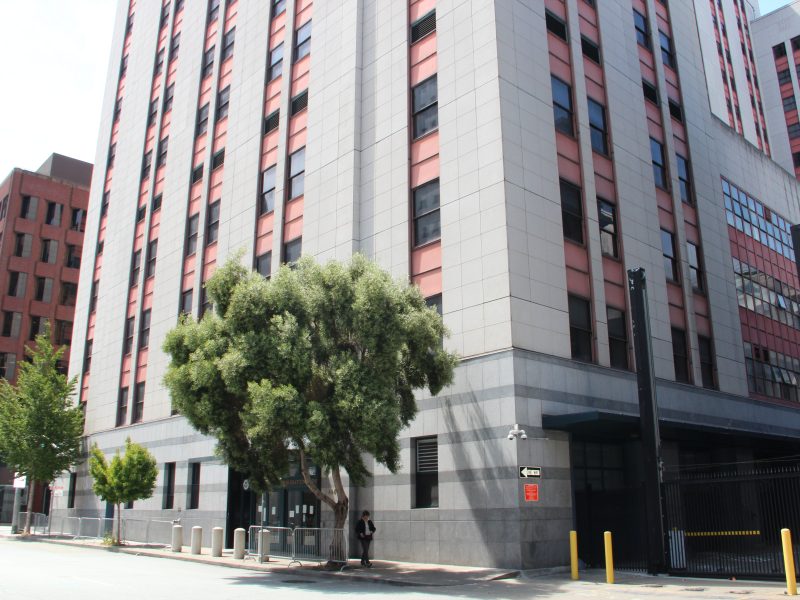 Tall modern office building with gray stone facade and red vertical window panels, a large tree in front, and a gated entrance on the right.