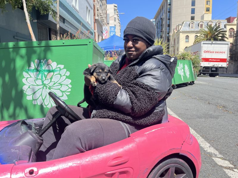 A person in a black jacket and hat sits in a pink toy car on a city street, holding a small black and brown puppy. Green planters and buildings are visible in the background.