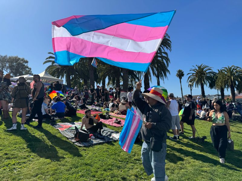 A person waves a large transgender pride flag at an outdoor Pride gathering in a park, with others sitting and standing on the grass under clear blue skies.