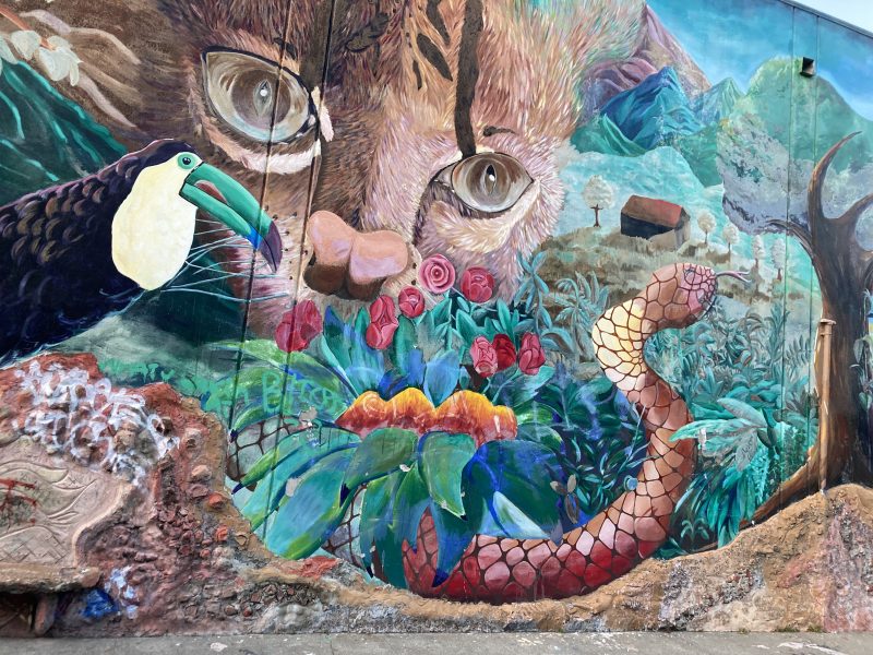 A colorful mural featuring a toucan, a snake, flowers, green foliage, and the face of a large animal against a backdrop of mountains and trees.