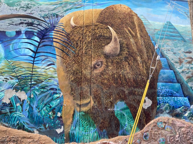A mural depicts a large bison standing among green plants, with a staircase and blue sky in the background. A yellow utility pole crosses the bottom right corner.