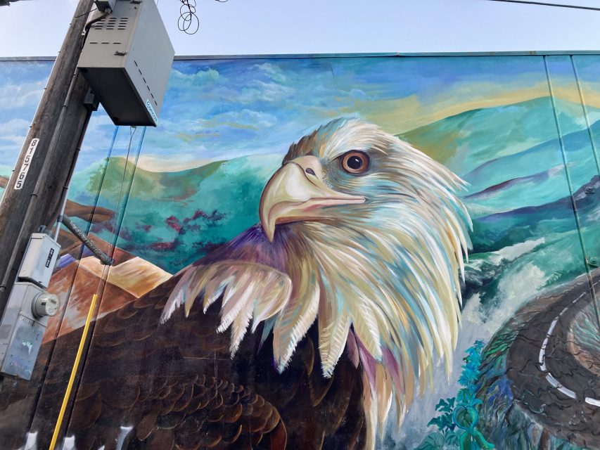 A mural of a bald eagle with detailed feathers is painted on a wall, with mountains and a winding road in the background. Utility boxes and cables are visible in the upper left corner.