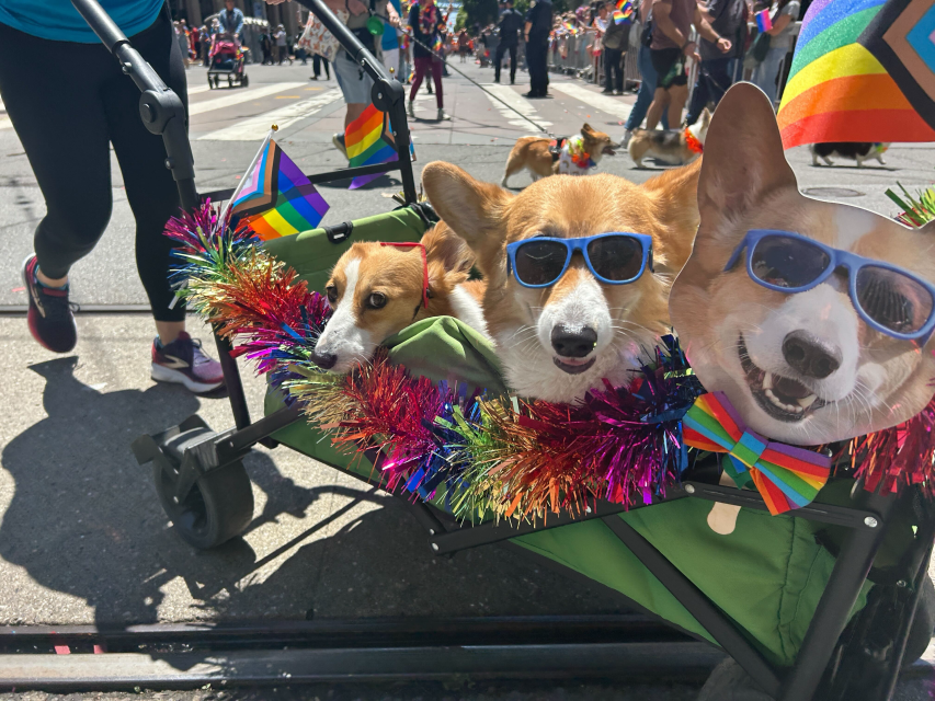 Two corgis in a decorated wagon with rainbow garlands and pride flags celebrate pride during a parade, with a large corgi face cutout wearing sunglasses attached to the wagon.