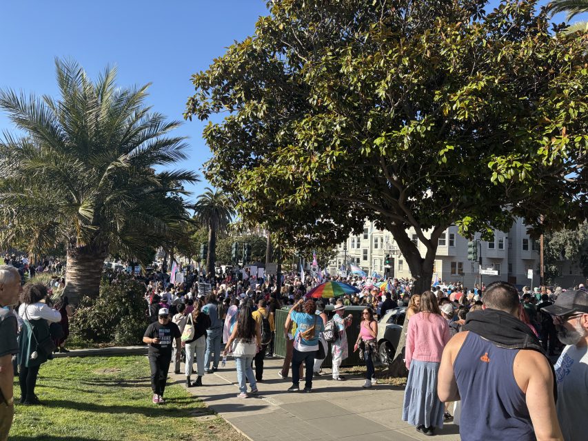 A large crowd gathers in a sunny park with palm trees, some holding signs and umbrellas, while people walk and stand on the sidewalk and grass.